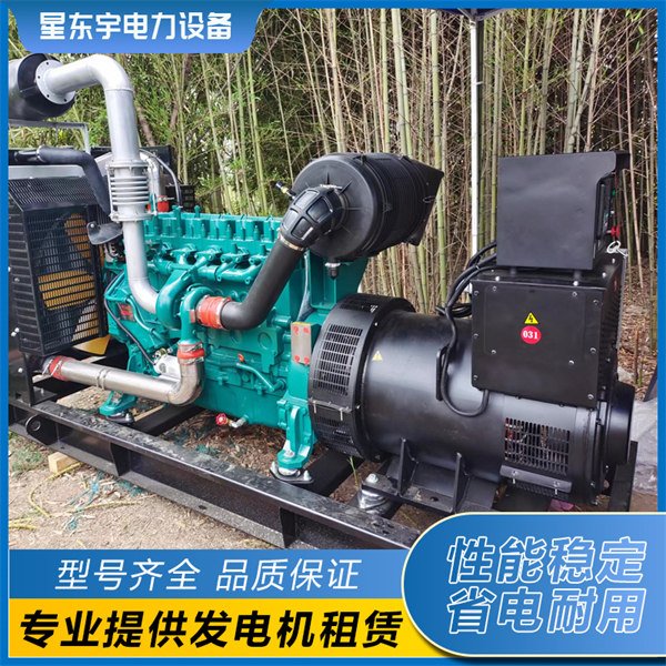 潍柴动力300Kw发电机组